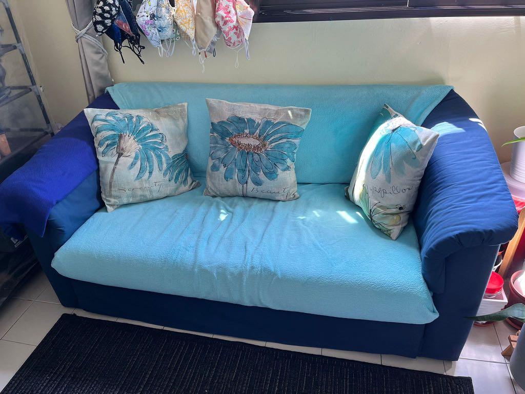 Give away Sofa bed super single, Furniture & Home Living, Furniture