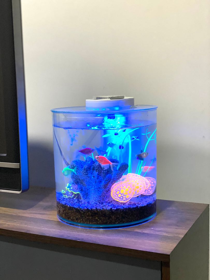 Marina 360 aquarium sales