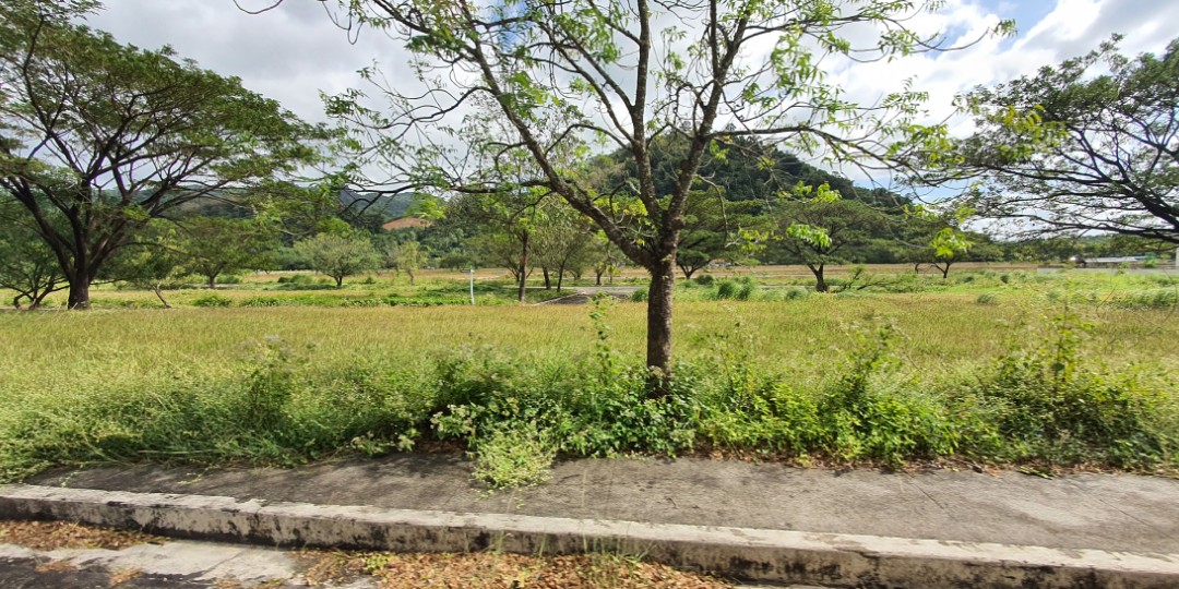 PALO ALTO RESIDENTIAL lots Baras Tanay, Property, For Sale, Lot on