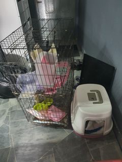 (Category: ) located in . Submitted by haiza87 (Listing ID 1169904616, Image 1). Description: .