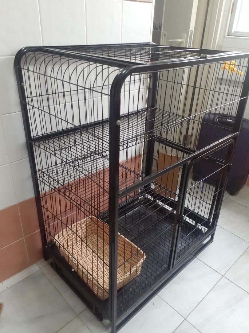Cat cage carousell top
