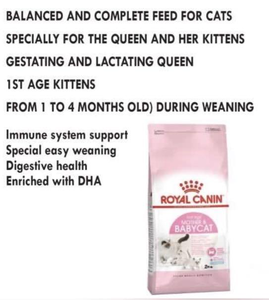 OFFER Royal Canin 1st Age Mother Baby Cat 4KG Pet