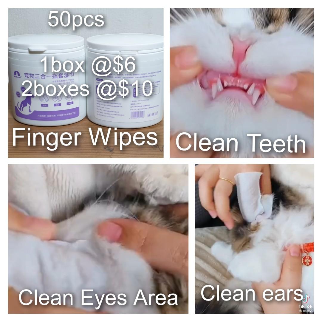 Cat Grooming More Easy With Finger Wipes Clean Teeth Eyes Area