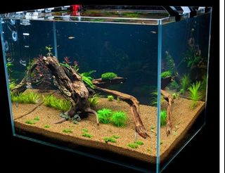(Category: ) located in . Submitted by dannangg (Listing ID 1171796079, Image 1). Description: .