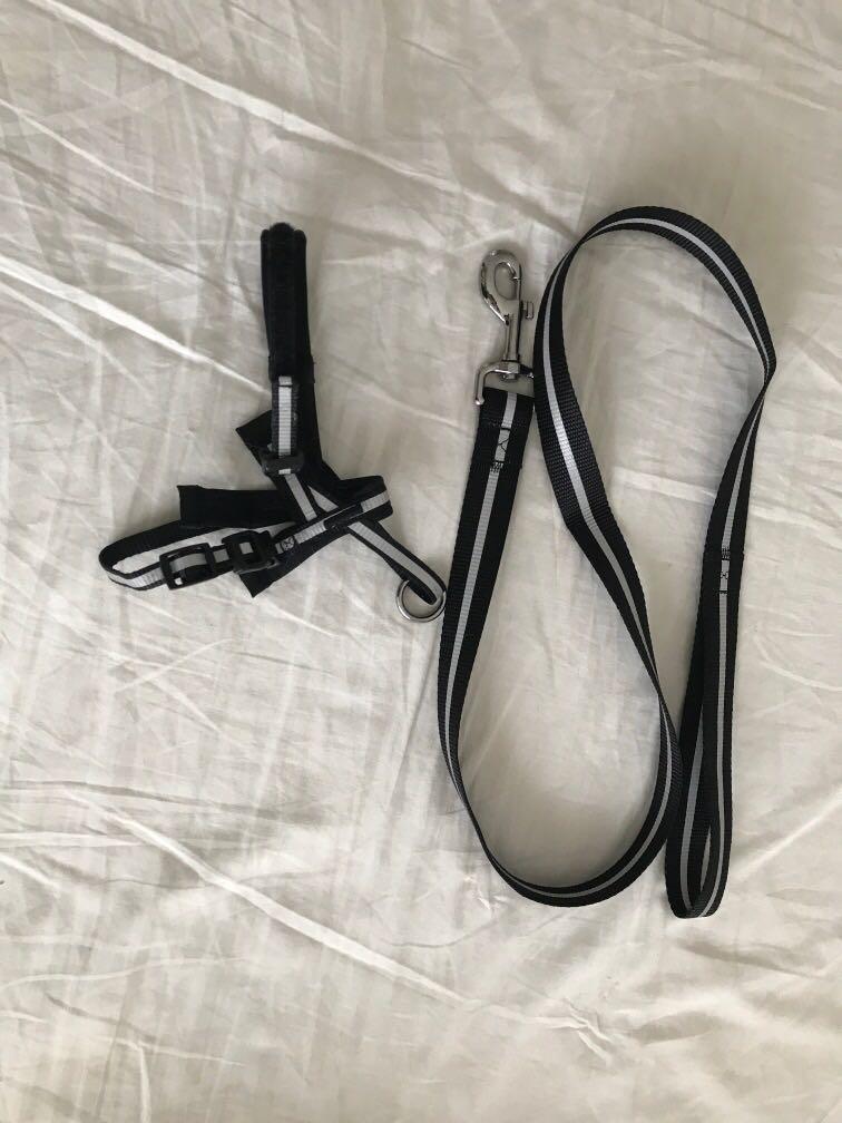 Ikea dog hot sale harness