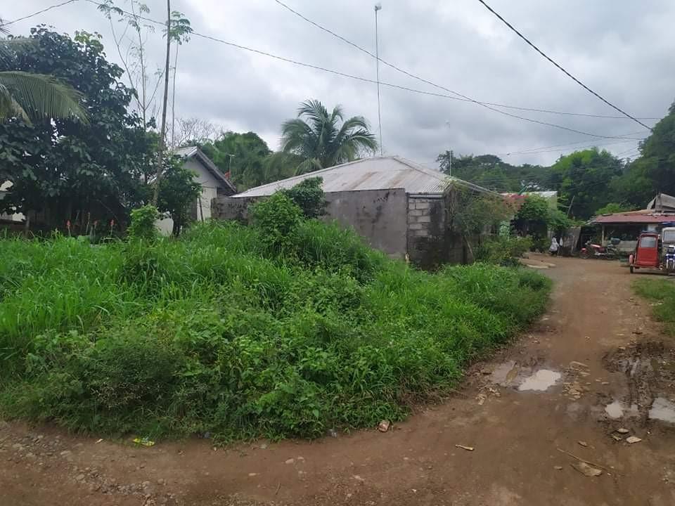Lot for sale La Trinidad Village, Sagana, Santiago City, Isabela