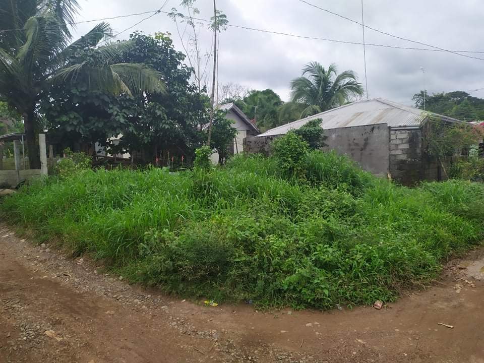 Lot for sale La Trinidad Village, Sagana, Santiago City, Isabela