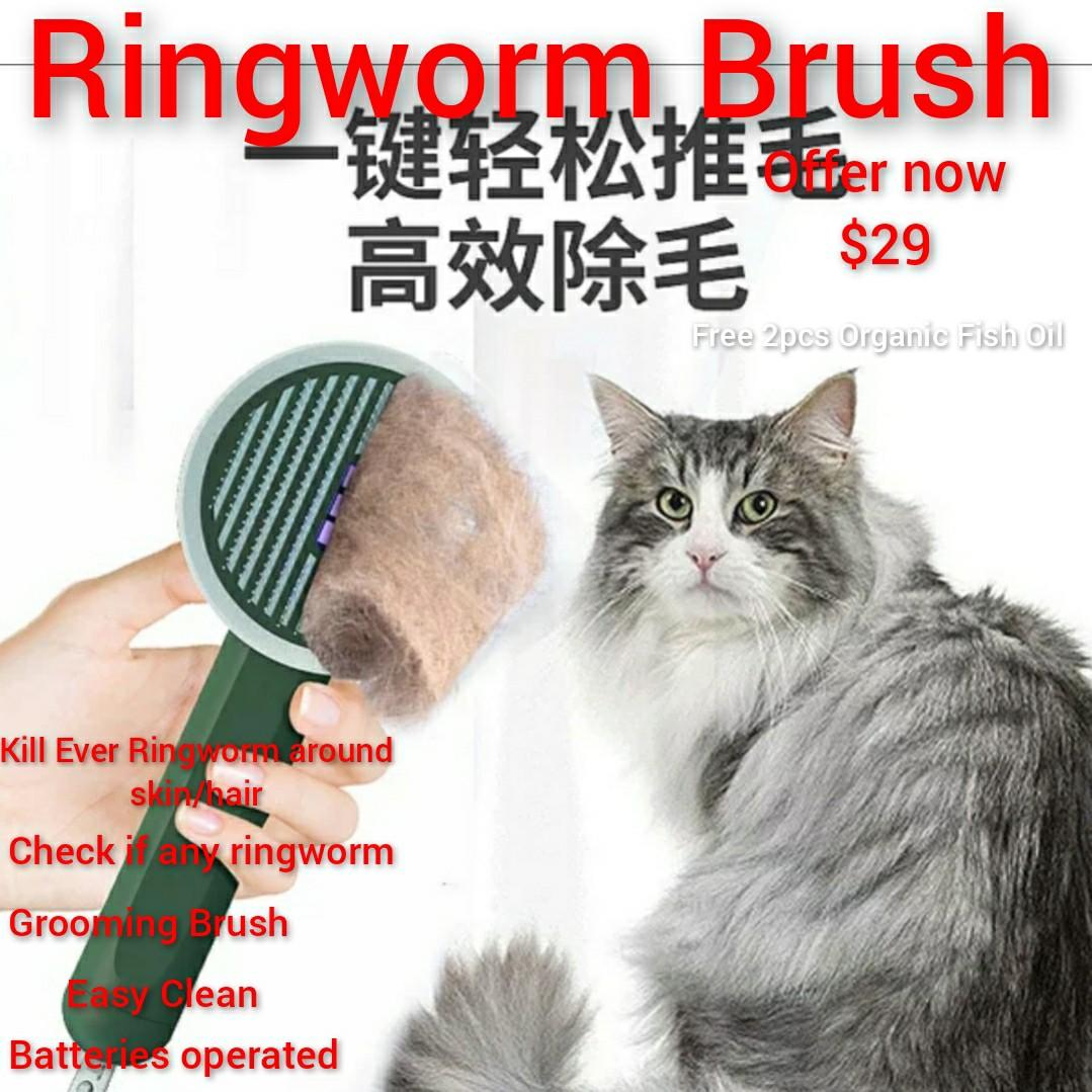 Ringworm Brush Available to Prevent Any Ringworm Or ringworm with any