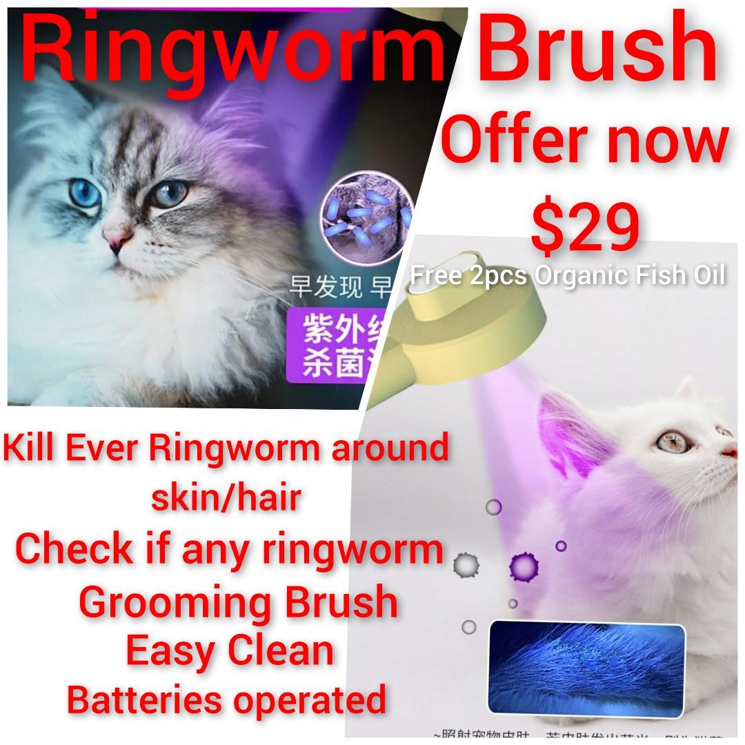 Ringworm Brush Available to Prevent Any Ringworm Or ringworm with any