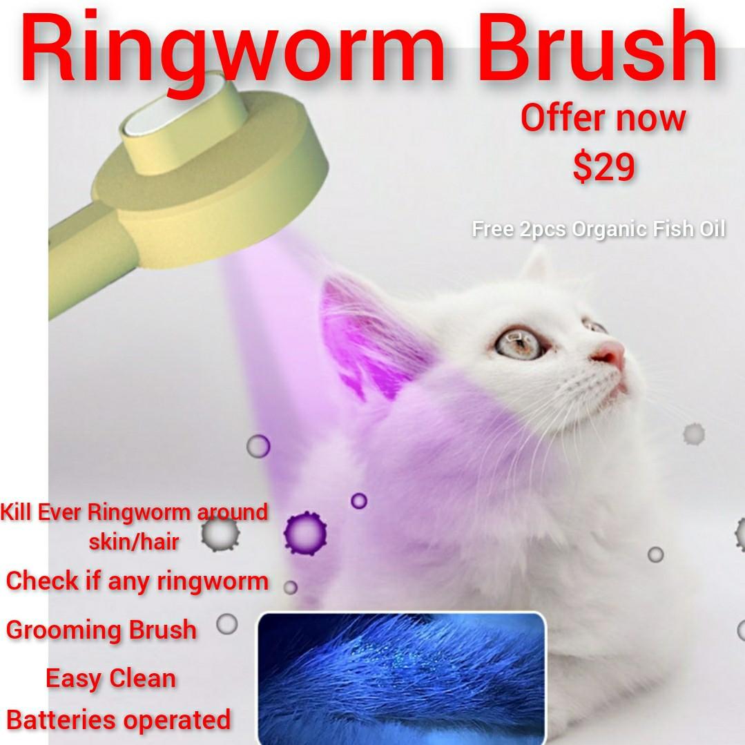 Ringworm Brush Available to Prevent Any Ringworm Or ringworm with any