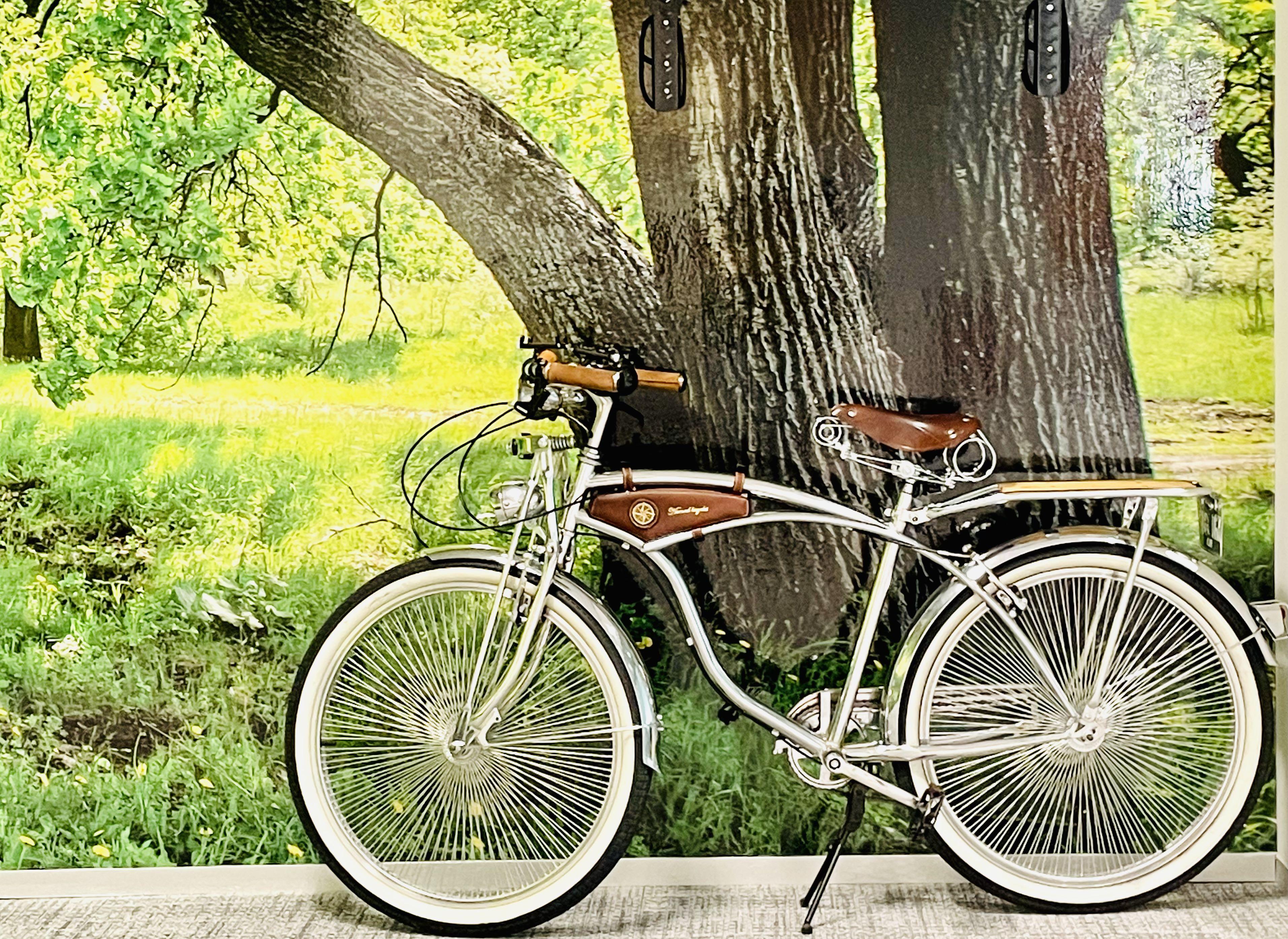 Vintage sales beach cruiser