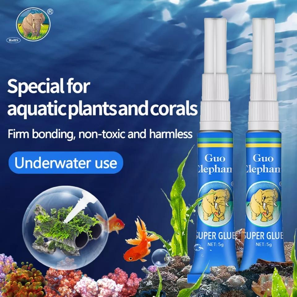 Aquarium super glue 5g Guo Elephant (coral frags, moss, aquatic