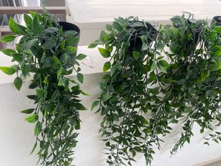 (Category: ) located in . Submitted by ajtilbee (Listing ID 1171913342, Image 1). Description: .
