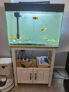 (Category: ) located in . Submitted by 332939144 (Listing ID 1171927317, Image 1). Description: .