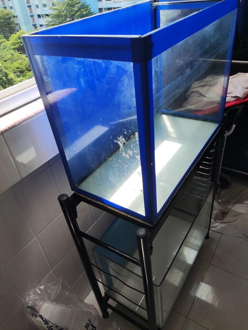 Fish tank with stand, Pet Supplies, Homes & Other Pet Accessories on
