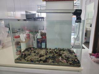 Free Fish Tank 60 x 30 x 30cm
