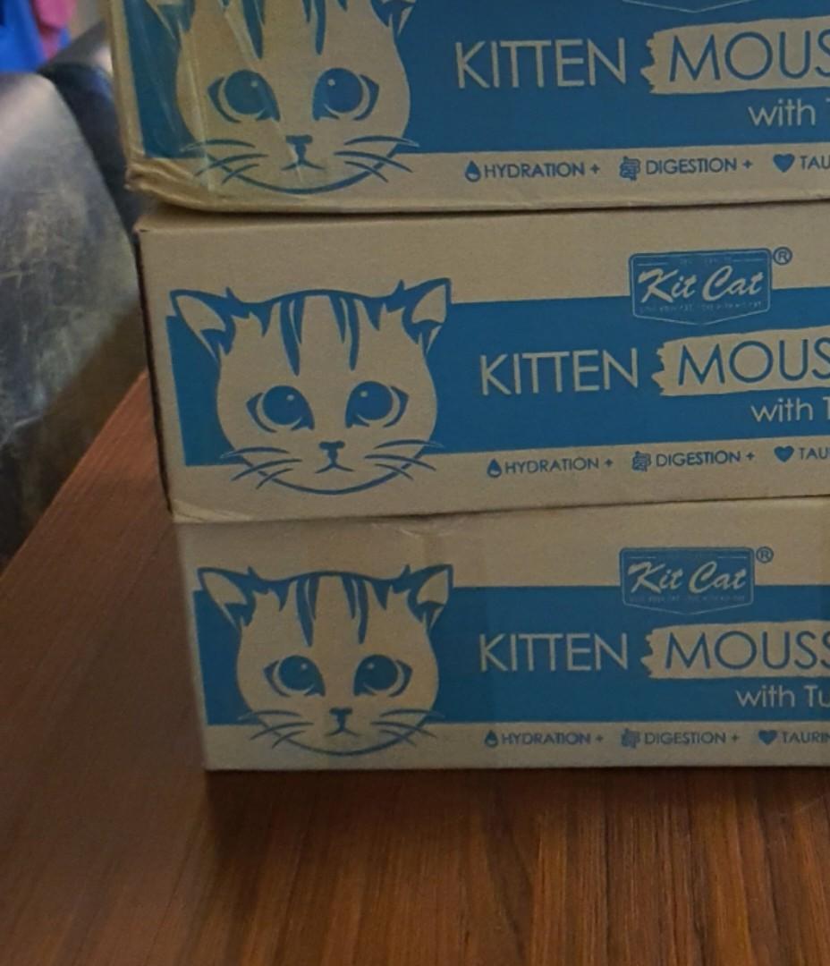 Kit Cat Kitten Mousse with Tuna, Pet Supplies, Pet Food on Carousell