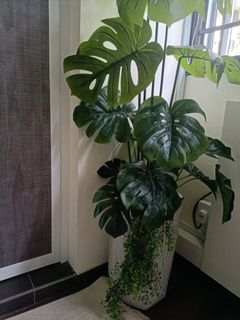 (Category: ) located in . Submitted by msila (Listing ID 1171867040, Image 1). Description: .