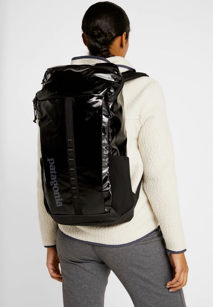 Patagonia Black Hole 25L Backpack 背包背囊, 男裝, 袋, 背包- Carousell