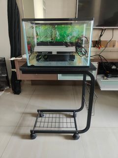 (Category: ) located in . Submitted by kren00 (Listing ID 1171952712, Image 1). Description: .