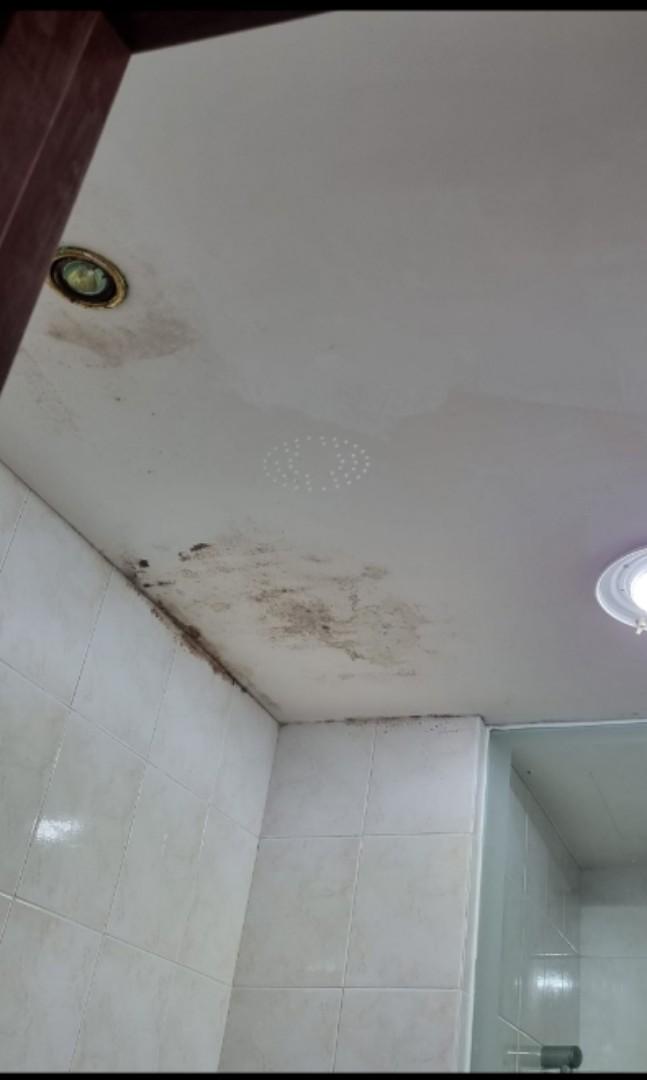 Stop leak, Toilet ceiling leaking, wall leak, ceiling leak, Home Services, Home Repairs