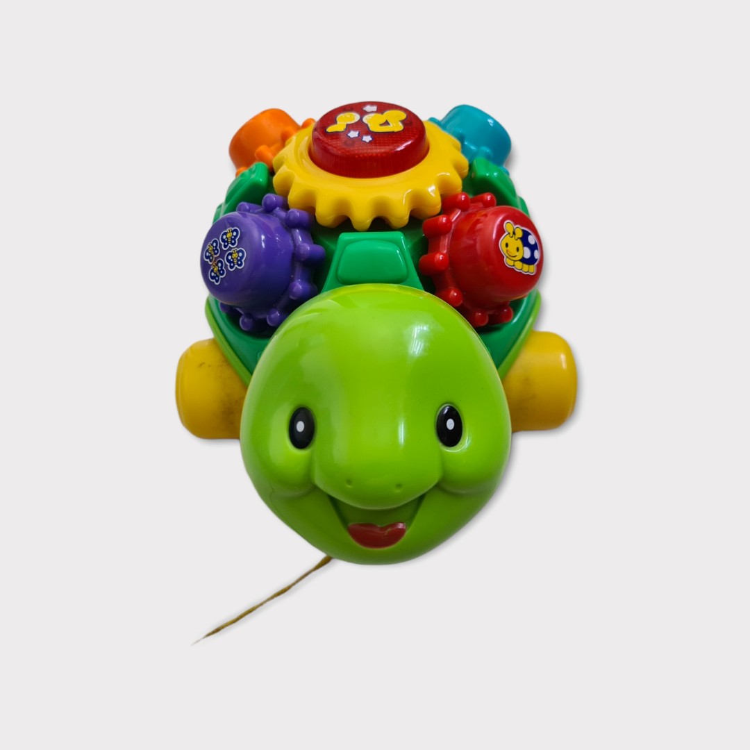 VTech Pull and Play Turtle Musical Toy Hobbies Toys Toys