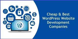 We can design WordPress plugins and Graphic Designer, Illustrations designs