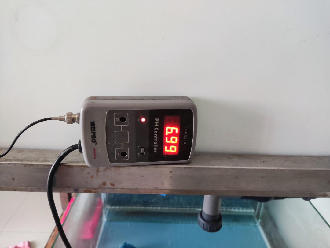 Weipro pH controller, Pet Supplies, Homes & Other Pet Accessories on