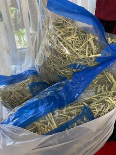 （分類：）位於 。 由 sio2.collections 提交（商品編號 1172129945，圖片 1）。簡介： 。