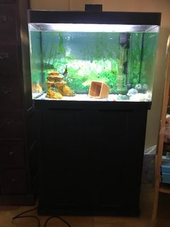 （分類：）位於 。 由 nklaas 提交（商品編號 1172131315，圖片 1）。簡介： 。