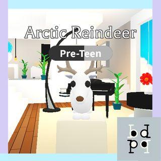 Arctic Reindeer Adopt Me Legendary Pet