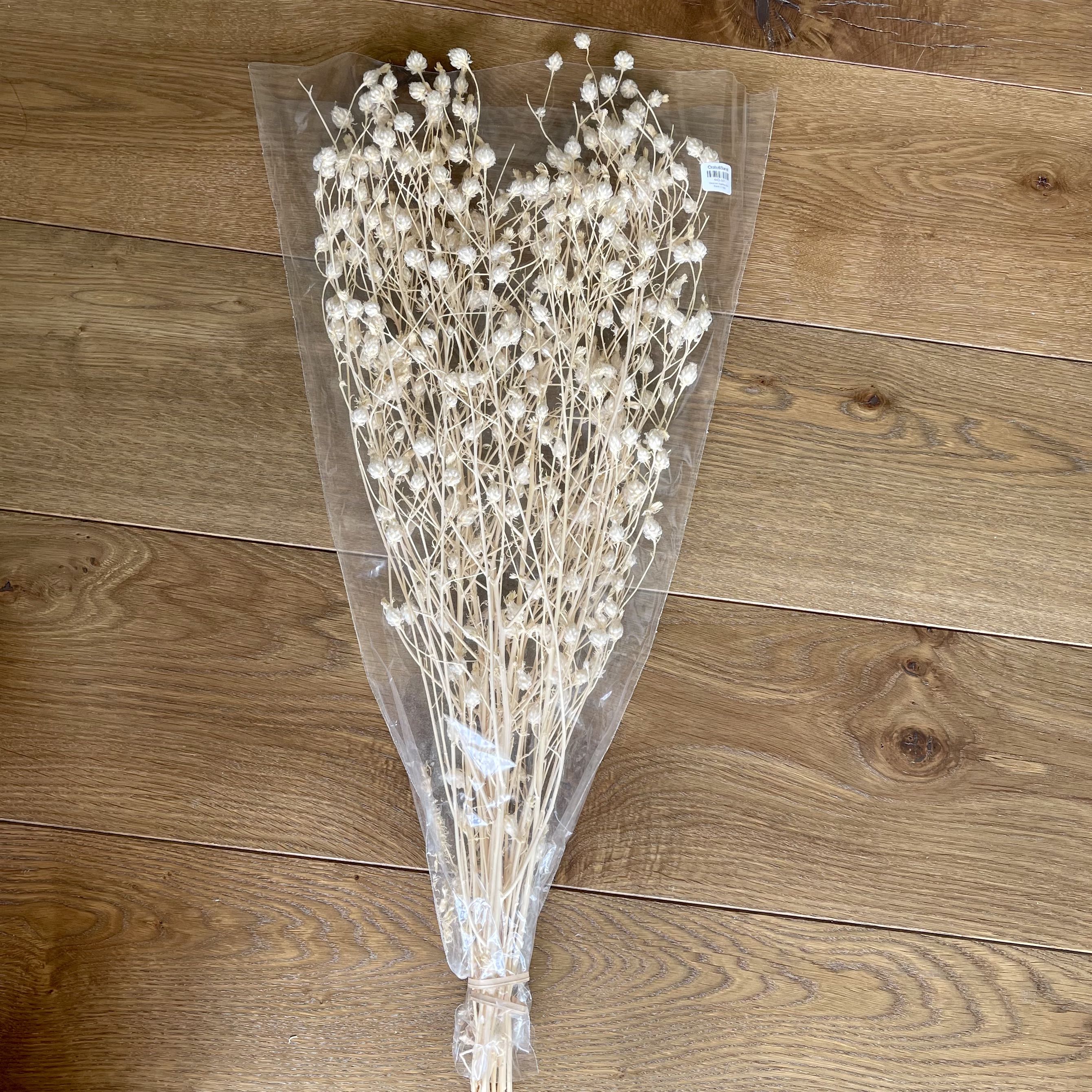 Dried Flowers Crate and Barrel, Hobbies & Toys, Stationery & Craft