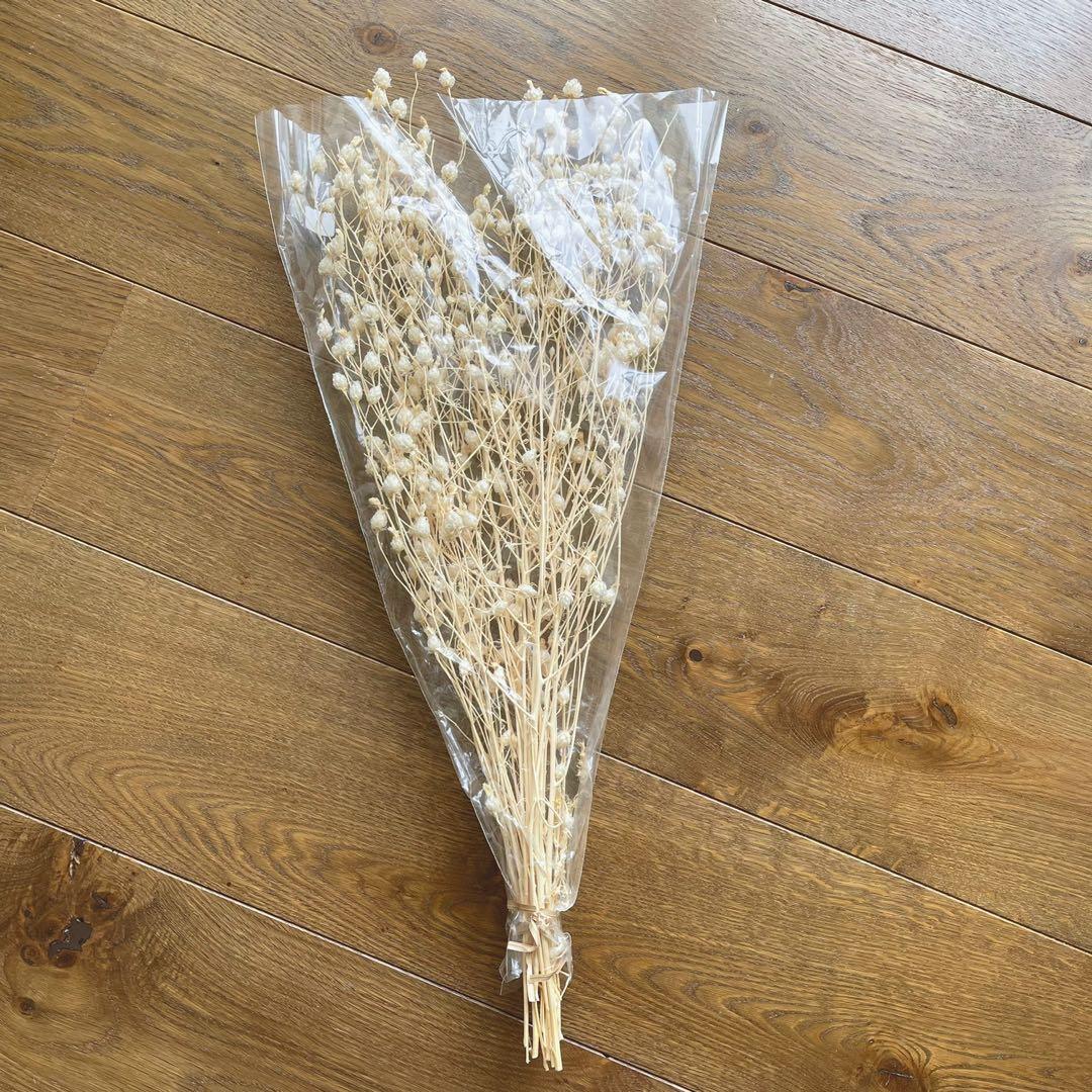 Dried Flowers Crate and Barrel, Hobbies & Toys, Stationery & Craft