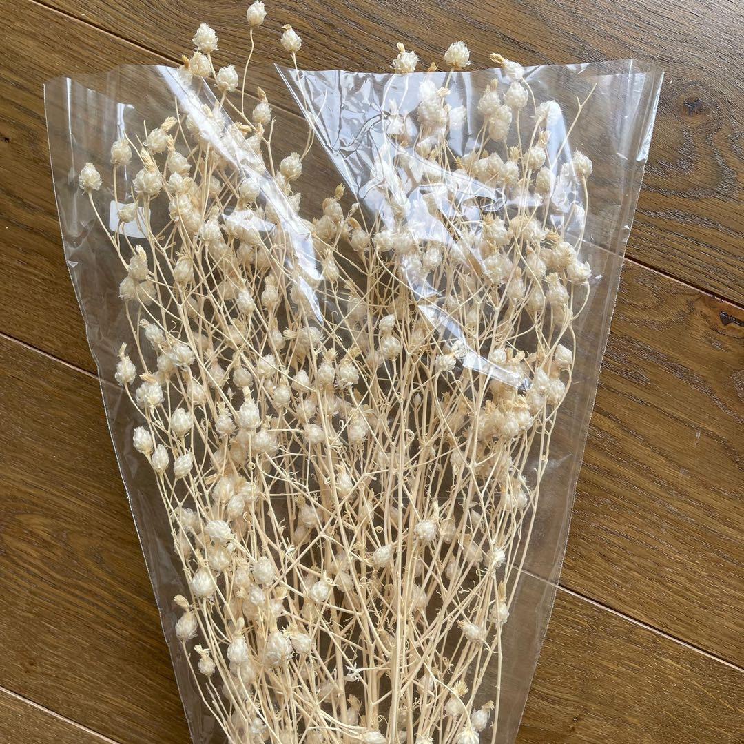 Dried Flowers Crate and Barrel, Hobbies & Toys, Stationery & Craft