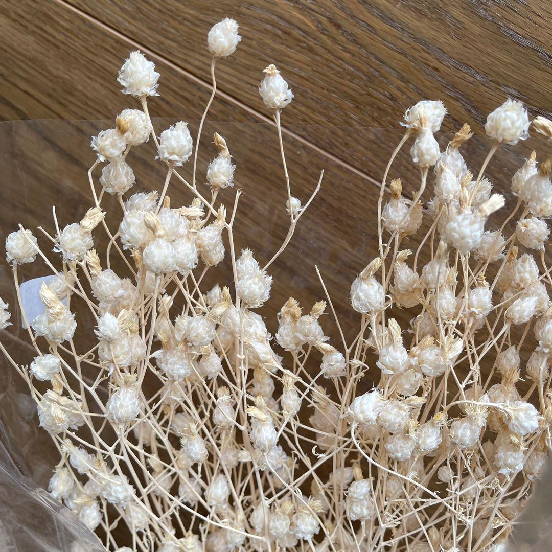 Dried Flowers Crate and Barrel, Hobbies & Toys, Stationery & Craft