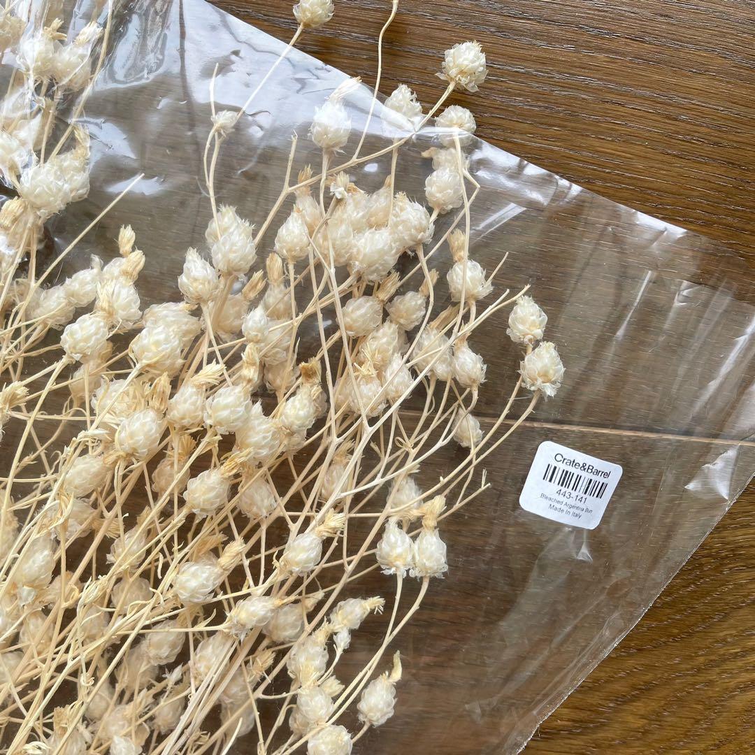 Dried Flowers Crate and Barrel, Hobbies & Toys, Stationery & Craft
