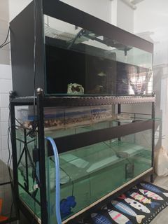 (Category: ) located in . Submitted by apitos (Listing ID 1172134799, Image 1). Description: .