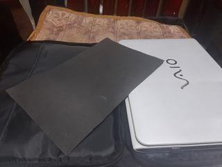 Laptop holder/bag
