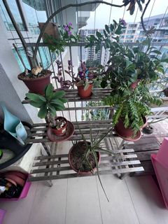 (Category: ) located in . Submitted by maros12590 (Listing ID 1172077015, Image 1). Description: .