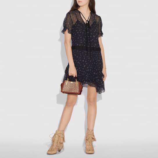 Dreamer 21 2025 coach