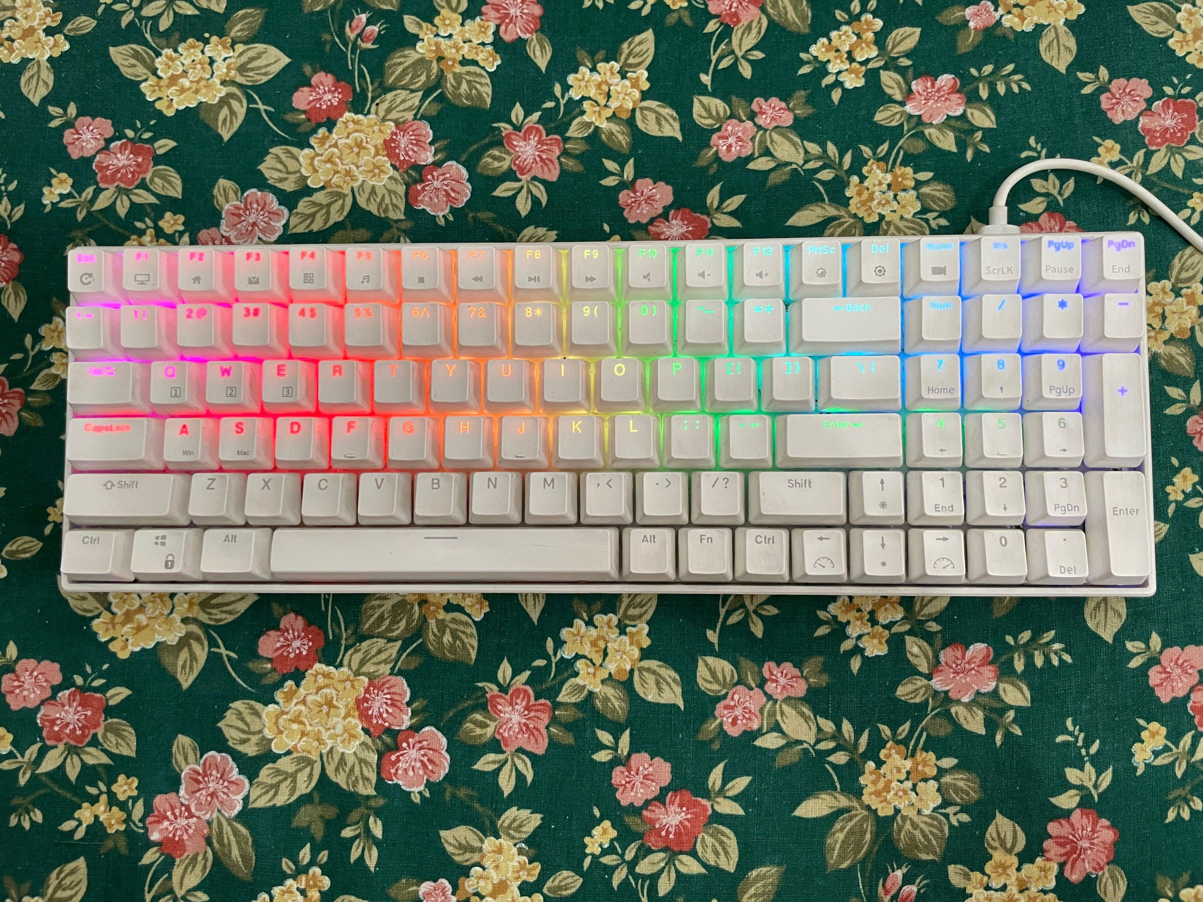 RK 100 Mechanical Keyboard, Computers & Tech, Parts & Accessories ...