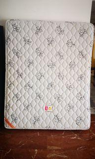SEAHORSE BACK SUPPORT MATRESS（QUEEN）