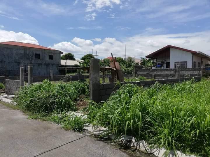 Town and Country Lot Dasmarinas, Property, For Sale, Lot on Carousell
