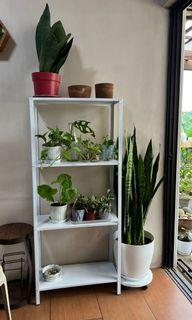 White book shelf plant rack