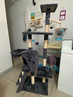 貓跳台