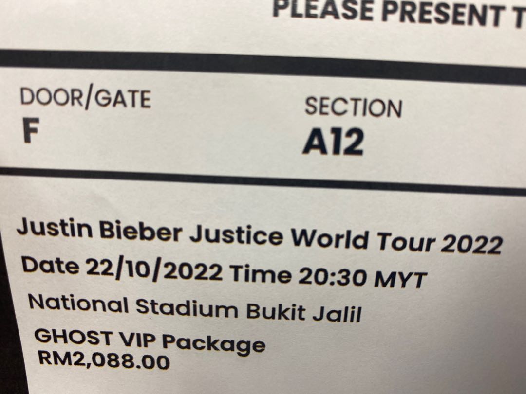 ジャスティンビーバー purpose world tour VIP 2016 - その他