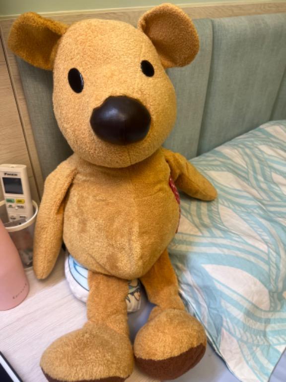 Newton’s Law Teddy Bear, 興趣及遊戲, 玩具 & 遊戲類 Carousell