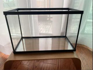 (Category: ) located in . Submitted by eebee (Listing ID 1172414426, Image 1). Description: .