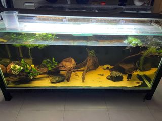 (Category: ) located in . Submitted by m.fifie (Listing ID 1172577956, Image 1). Description: .