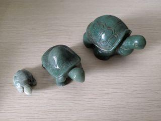 a family of stone tortoises
